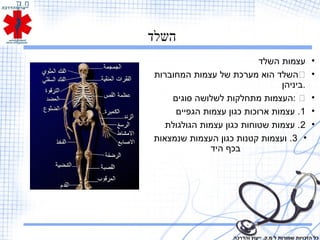 ‫השלד‬
•‫השלד‬ ‫עצמות‬
•‫המחוברות‬ ‫עצמות‬ ‫של‬ ‫מערכת‬ ‫הוא‬ ‫השלד‬
‫.ביניהן‬
•‫סוגים‬ ‫לשלושה‬ ‫מתחלקות‬ ‫:העצמות‬
•1‫הגפיים‬ ‫עצמות‬ ‫כגון‬ ‫ארוכות‬ ‫עצמות‬ .
•2‫הגולגולת‬ ‫עצמות‬ ‫כגון‬ ‫שטוחות‬ ‫עצמות‬ .
•3‫שנמצאות‬ ‫העצמות‬ ‫כגון‬ ‫קטנות‬ ‫ועצמות‬ .
‫היד‬ ‫בכף‬
‫והדרכה‬ ‫ייעוץ‬ .‫מ.ק‬ ‫ל‬ ‫שמורות‬ ‫הזכויות‬ ‫כל‬
 