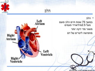 ‫הלב‬
•‫הלב‬
‫במשך‬75‫פועם‬ ‫הלב‬ ‫חיים‬ ‫שנות‬
‫מעל‬2.5‫פעמים‬ ‫מיליארדי‬
‫יותר‬ ‫דקה‬ ‫מדי‬ ‫משגר‬
‫דם‬ ‫של‬ ‫ליטרים‬ ‫מחמישה‬
‫והדרכה‬ ‫ייעוץ‬ .‫מ.ק‬ ‫ל‬ ‫שמורות‬ ‫הזכויות‬ ‫כל‬
 