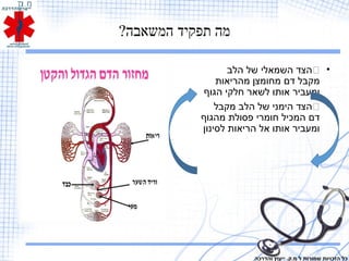 ?‫המשאבה‬ ‫תפקיד‬ ‫מה‬
•‫הלב‬ ‫של‬ ‫השמאלי‬ ‫הצד‬
‫מהריאות‬ ‫מחומצן‬ ‫דם‬ ‫מקבל‬
‫הגוף‬ ‫חלקי‬ ‫לשאר‬ ‫אותו‬ ‫ומעביר‬
•‫מקבל‬ ‫הלב‬ ‫של‬ ‫הימני‬ ‫הצד‬
‫מהגוף‬ ‫פסולת‬ ‫חומרי‬ ‫המכיל‬ ‫דם‬
‫לסינון‬ ‫הריאות‬ ‫אל‬ ‫אותו‬ ‫ומעביר‬
‫והדרכה‬ ‫ייעוץ‬ .‫מ.ק‬ ‫ל‬ ‫שמורות‬ ‫הזכויות‬ ‫כל‬
 