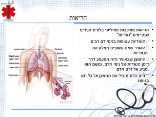 ‫הריאות‬
•‫זעירים‬ ‫בלונים‬ ‫ממיליוני‬ ‫מורכבות‬ ‫הריאות‬
"‫יות‬ֹ‫תו‬‫ד‬ִ‫י‬ ‫נא‬ֹ‫תו‬" ‫שנקראים‬
•‫רבים‬ ‫דם‬ ‫בנימי‬ ‫עטופות‬ ‫הנאדיות‬
•‫את‬ ‫ממלא‬ ‫שואפים‬ ‫שאנו‬ ‫האוויר‬
‫הנאדיות‬
•‫דרך‬ ‫מפעפע‬ ‫הזה‬ ‫שבאוויר‬ ‫החמצן‬
‫הוא‬ ‫ומשם‬ ,‫הדם‬ ‫נימי‬ ‫אל‬ ‫הנאדית‬ ‫דופן‬
‫הדם‬ ‫זרם‬ ‫אל‬ ‫.מגיע‬
•‫תא‬ ‫כל‬ ‫אל‬ ‫החמצן‬ ‫את‬ ‫מוביל‬ ‫הדם‬ ‫זרם‬
‫בגופנו‬
‫והדרכה‬ ‫ייעוץ‬ .‫מ.ק‬ ‫ל‬ ‫שמורות‬ ‫הזכויות‬ ‫כל‬
 
