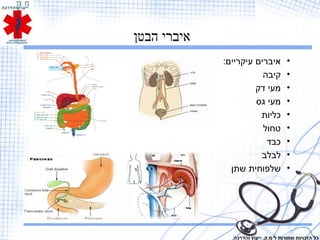 ‫הבטן‬ ‫איברי‬
•:‫עיקריים‬ ‫איברים‬
•‫קיבה‬
•‫דק‬ ‫מעי‬
•‫גס‬ ‫מעי‬
•‫כליות‬
•‫טחול‬
•‫כבד‬
•‫לבלב‬
•‫שתן‬ ‫שלפוחית‬
‫והדרכה‬ ‫ייעוץ‬ .‫מ.ק‬ ‫ל‬ ‫שמורות‬ ‫הזכויות‬ ‫כל‬
 