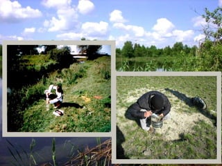 Дослідження територій річки Устя
 