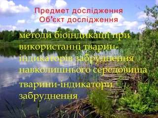 Предмет дослідження
’Об єкт дослідження
 методи біоіндикації при
використанні тварин-
індикаторів забруднення
навколишнього середовища
 тварини-індикатори
забруднення
 