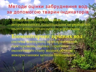 Методи оцінки забруднення вод
-за допомогою тварин індикаторів
 Біоіндикація - спосіб оцінки
антропогенного навантаження по реакції на
нього живих організмів і їх угрупувань
 Біомоніторинг прісних вод -
система повторних, цілеспрямованих
спостережень, оцінки і прогнозу
екологічного стану водних об'єктів з
використанням методів біоіндикації.
 