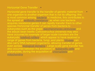 •Horizontal Gene Transfer
•Horizontal gene transfer is the transfer of genetic material from
one organism to another organism that is not its offspring; this
medicine, this contributes toInbacteriais most common among
, as when one bacteriaantibiotic resistancethe spread of
acquires resistance genes it can rapidly transfer them to other
species Horizontal transfer of genes from bacteria to
andcerevisiaeSaccharomyceseukaryotes such as the yeast
the adzuki bean beetle Callosobruchus chinensis may also
have occurred An example of larger-scale transfers are the
, which appear to have received arotifersbdelloideukaryotic
canVirusesplantsrange of genes from bacteria, fungi, and
also carry DNA between organisms, allowing transfer of genes
scale gene transfer has-Large]domainsbiologicaleven across
andeukaryotic cellsalso occurred between the ancestors of
andchloroplastsprokaryotes, during the acquisition of
mitochondria
 