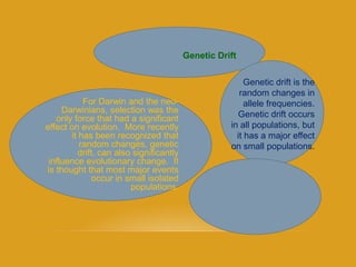 Genetic Drift
Genetic drift is the
random changes in
allele frequencies.
Genetic drift occurs
in all populations, but
it has a major effect
on small populations.
For Darwin and the neo-
Darwinians, selection was the
only force that had a significant
effect on evolution. More recently
it has been recognized that
random changes, genetic
drift, can also significantly
influence evolutionary change. It
is thought that most major events
occur in small isolated
populations.
 