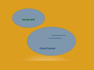 Genetic drift
Global Disaster
 