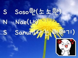 S Soso한(소소한)
N Nae(내)
S Sanun(사는 이야기)
 