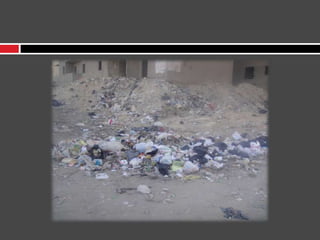 الحياة فى شوارع مصر