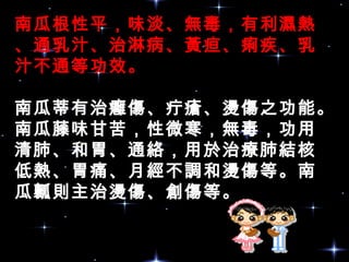 南瓜根性平，味淡、無毒，有利濕熱
、通乳汁、治淋病、黃疸、痢疾、乳
汁不通等功效。
南瓜蒂有治癰傷、疔瘡、燙傷之功能。
南瓜藤味甘苦，性微寒，無毒，功用
清肺、和胃、通絡，用於治療肺結核
低熱、胃痛、月經不調和燙傷等。南
瓜瓤則主治燙傷、創傷等。
 