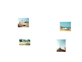 מצגת תמונות מארכיון מרכז קטיף