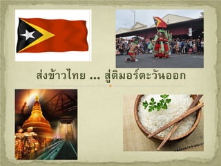 สงขาวไทย … สูติมอรตะวันออก
 