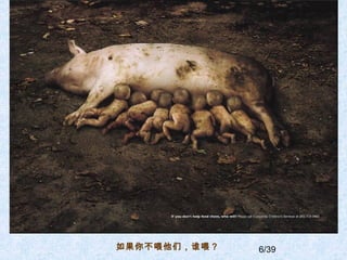 6/39㲻ιǣ˭ι
 