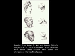 Drawings from Josiah C. Nott and George Giddon's
Indigenous races of the earth (1857), which suggested
black people ranked between white people and
chimpanzees in terms of intelligence.
 