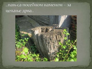 Proleće u srcu Šumadije