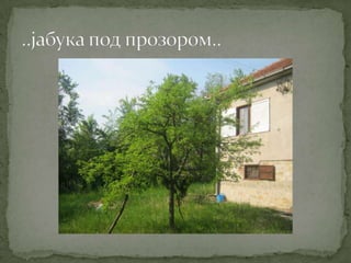 Proleće u srcu Šumadije