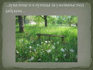 Proleće u srcu Šumadije