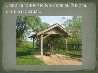 Proleće u srcu Šumadije