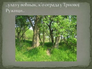 Proleće u srcu Šumadije