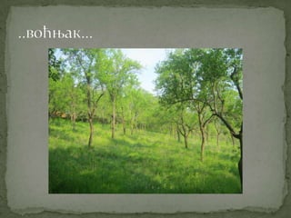 Proleće u srcu Šumadije