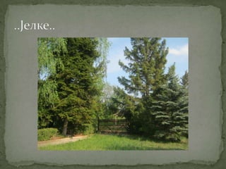 Proleće u srcu Šumadije