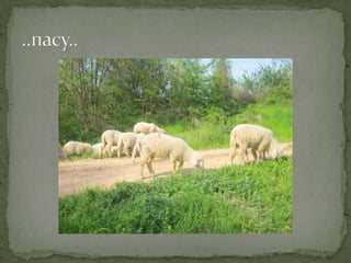 Proleće u srcu Šumadije