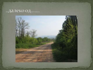 Proleće u srcu Šumadije