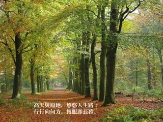 高天與原地，悠悠人生路；
行行向何方，轉眼即長暮。
 