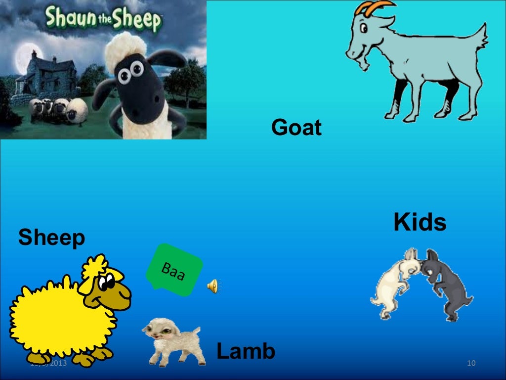 “Animals and Their Young Ones”