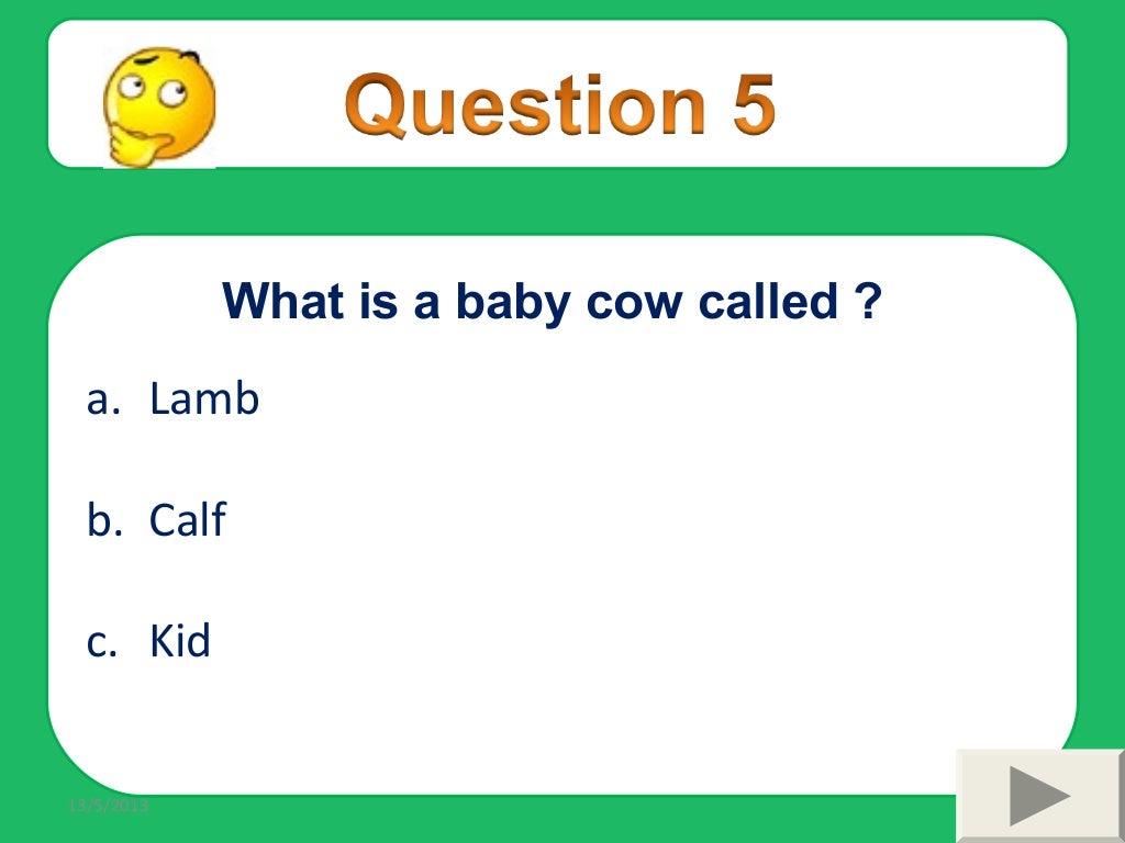 “Animals and Their Young Ones”