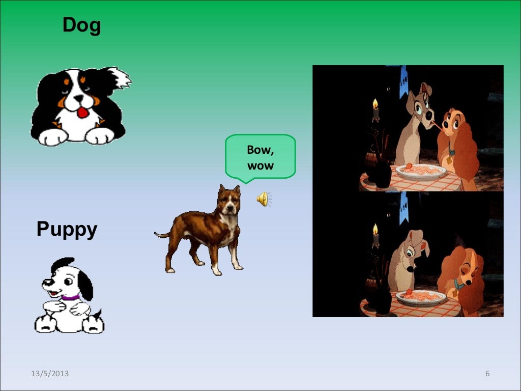 “Animals and Their Young Ones”