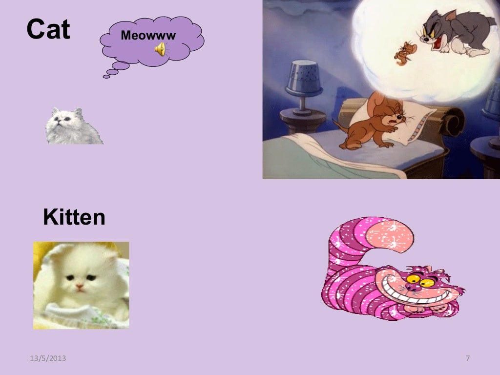 “Animals and Their Young Ones”