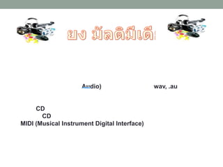Audio) wav, .au
CD
CD
MIDI (Musical Instrument Digital Interface)
 