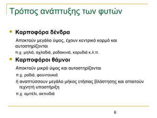 6
Τρόπος ανάπτυξης των φυτών
 Καρποφόρα δένδρα
Αποκτούν μεγάλο ύψος, έχουν κεντρικό κορμό και
αυτοστηρίζονται
π.χ. μηλιά, αχλαδιά, ροδακινιά, καρυδιά κ.λ.π.
 Καρποφόροι θάμνοι
Αποκτούν μικρό ύψος και αυτοστηρίζονται
π.χ. ροδιά, φουντουκιά
ή αναπτύσσουν μεγάλο μήκος ετήσιας βλάστησης και απαιτούν
τεχνητή υποστήριξη
π.χ. αμπέλι, ακτινιδιά
 