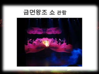 금면왕조 쇼 관람
 