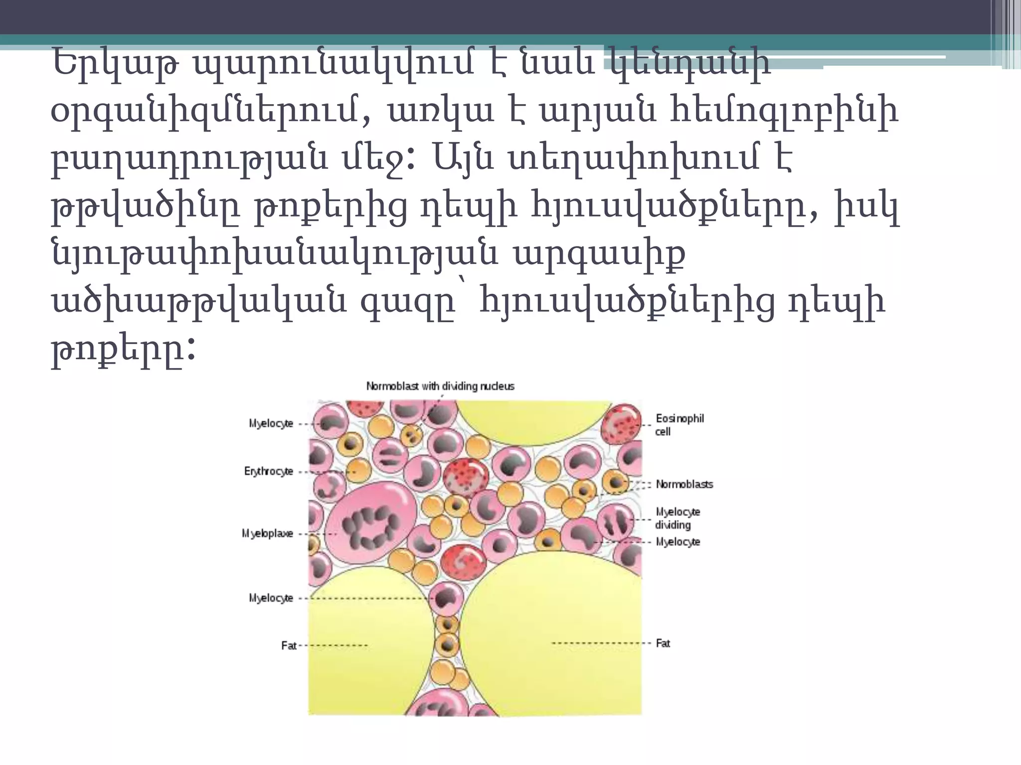 Երկաթ պարունակվում է նաև կենդանի
օրգանիզմներում, առկա է արյան հեմոգլոբինի
բաղադրության մեջ: Այն տեղափոխում է
թթվածինը թոքերից դեպի հյուսվածքները, իսկ
նյութափոխանակության արգասիք
ածխաթթվական գազը՝ հյուսվածքներից դեպի
թոքերը:
 