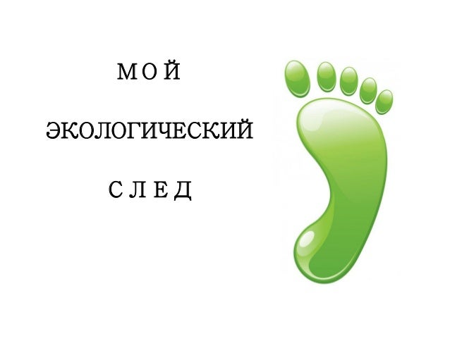 Гранты по экологии