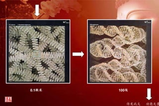 传发此文 功德无量
0.1微米 100埃
 