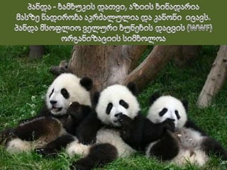 ე   ვ   რ   ა   ზ   ი   ა