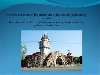 Moscow Zoo is one of the biggest and oldest zoos in Russia and in
the world.
It was founded in 1864. Its collection includes 1127 species of animals,
reptiles, mammals, birds.