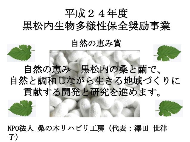 桑の木工房発表用 桑の木工房発表用
