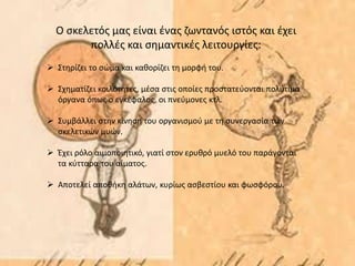 Ο σκελετός μας είναι ένας ζωντανός ιστός και έχει
πολλές και σημαντικές λειτουργίες:
 Στηρίζει το σώμα και καθορίζει τη μορφή του.
 Σχηματίζει κοιλότητες, μέσα στις οποίες προστατεύονται πολύτιμα
όργανα όπως ο εγκέφαλος, οι πνεύμονες κτλ.
 Συμβάλλει στην κίνηση του οργανισμού με τη συνεργασία των
σκελετικών μυών.
 Έχει ρόλο αιμοποιητικό, γιατί στον ερυθρό μυελό του παράγονται
τα κύτταρα του αίματος.
 Αποτελεί αποθήκη αλάτων, κυρίως ασβεστίου και φωσφόρου.
 