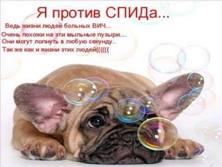 презентація  ''віл снід''