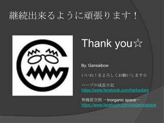 継続出来るように頑張ります！
Thank you☆
By. Gansaibow
いいね！をよろしくお願いします☆
ハーブの成長日記
https://www.facebook.com/herbsdiary
無機質空間 ーInorganic spaceー
https://www.facebook.com/inoganicspace
 