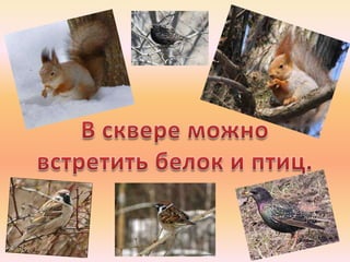 сквер дружбы народов.