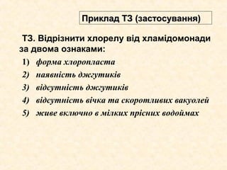 ТЗ. Відрізнити хлорелу від хламідомонади
за двома ознаками:
1) форма хлоропласта
2) наявність джгутиків
3) відсутність джгутиків
4) відсутність вічка та скоротливих вакуолей
5) живе включно в мілких прісних водоймах
Приклад ТЗ (застосування)Приклад ТЗ (застосування)
 