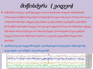  მიწისძვრა,სასტიკი ,დამანგრეველი ძალის სტიქიური მოვლნაა.მიწისძვრები
ძირითადათ ბაქნების შეჯახების საზღვრებთან ხდება.მიწისძვრის 12 ბალიანი სკალა
არსებობს.მიწისძვრა იწვევს ვულკანების გააქტიურებას,ოკეანეებში ცუნამების
წარმოქმნას.შენობების რღვევა 5–6 ბალიდან იწყება.8–9 ბალიანი მიწისძვრა იწვევს
შენობების მასიურ ნგრევას.10–11ბალზე ხდება ლითოსფეროს ზედა ფენების
რღვევა.12 ბალიანი მიწისძვრის დროს კი იცვლება დედამიწის ზედაპირის
ფორმები
 სეისმოლოგიურ სადგურში ხდება სეისმოგრაფის სასუალებით მიწისძვრაზე
დაკვირვება და სანაწერი ასე გამოიყურება
მიწისძვრა ( ვიდეო)
 