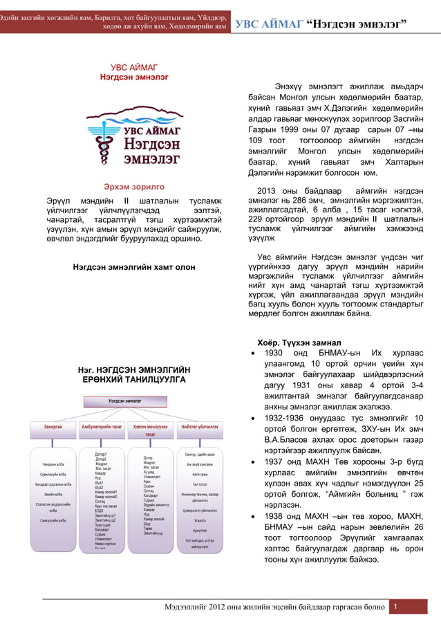 Нэгдсэн эмнэлэг танилцуулга | PDF
