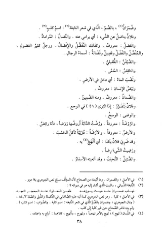 معرفة الضاد والظاء