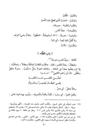 معرفة الضاد والظاء